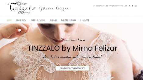 Tinzzalo diseño Web